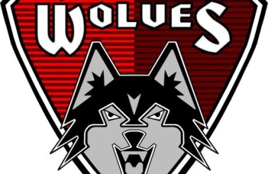 Wolves logo general small