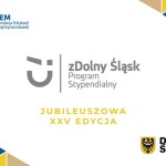 ilustracje na stronę www (8)
